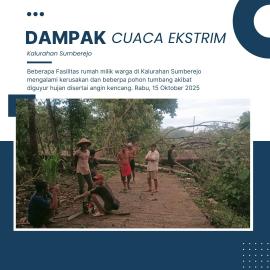 Cuaca Ekstrem Terjang Kalurahan Sumberejo, Pohon Tumbang dan Atap Rumah Warga Rusak