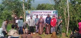 BUPATI GUNUNGKIDUL HADIRI GERAKAN TANAM KELAPA DAN NANGKA DI DUSUN SEDONO