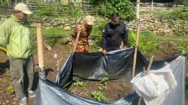 Monev Bibit Jahe ke 8 KWT Padukuhan